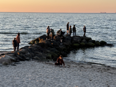 Aabningstider og lukkedage